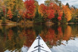 Water Activities in New York.