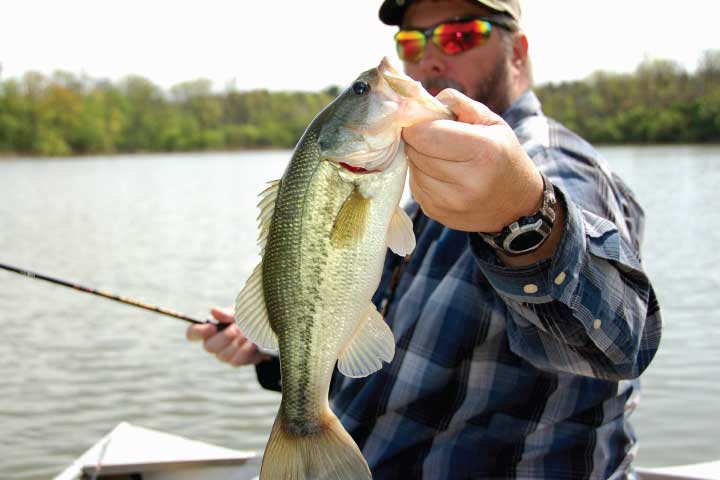 Lake Fork Bass Fishing.