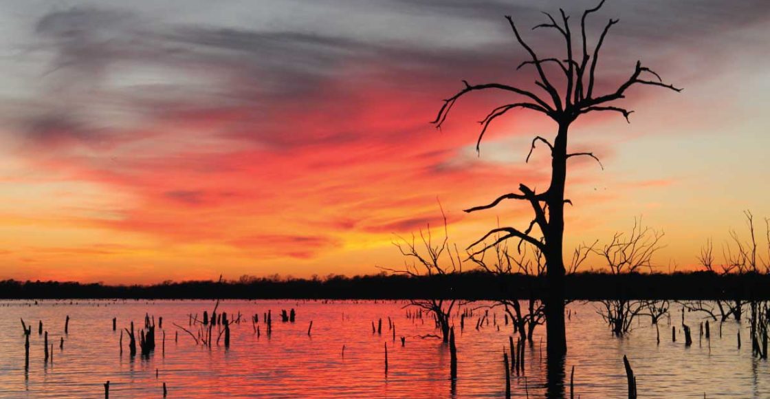 Lake Fork Fishing Guide.