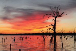 Lake Fork Fishing Guide.