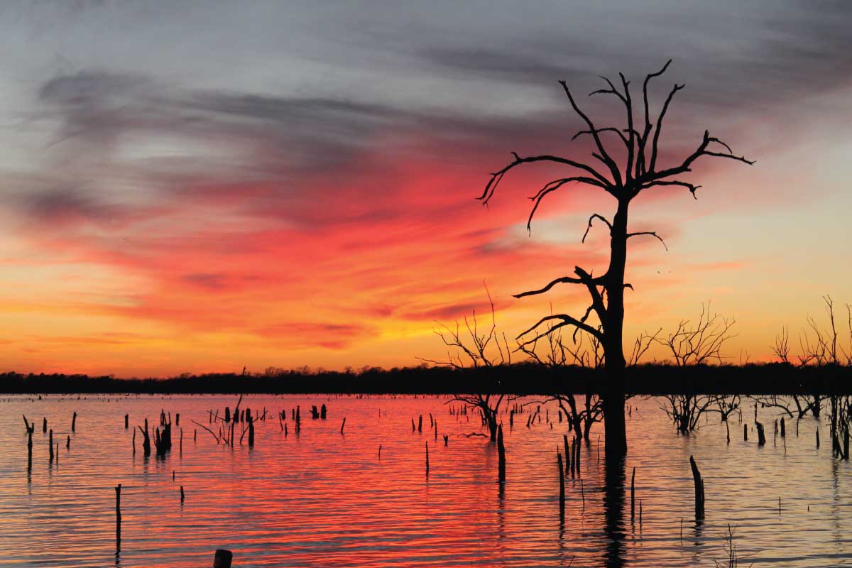 Lake Fork Fishing Guide Boatsetter