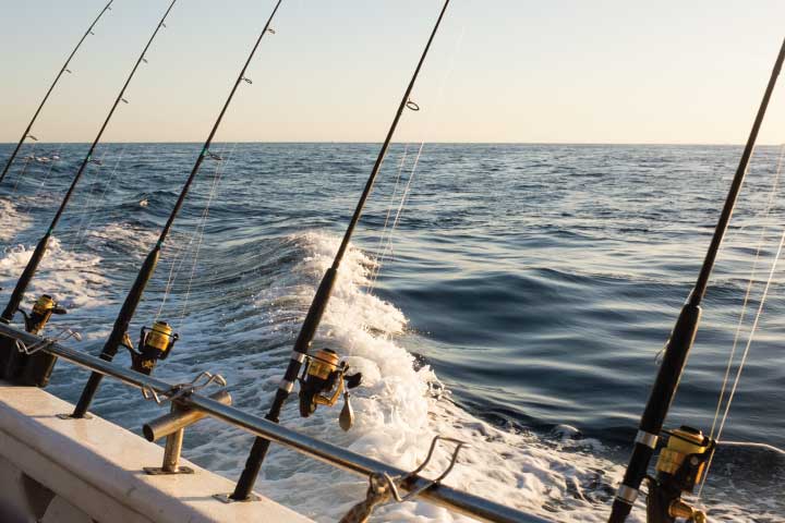 Los Angeles Fishing Charter.