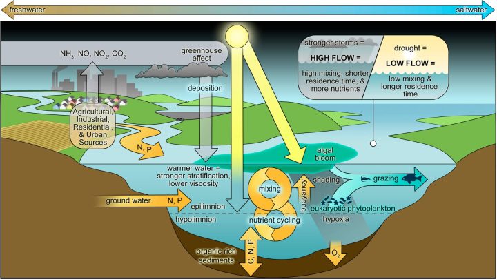 Algal Bloom HAB formation