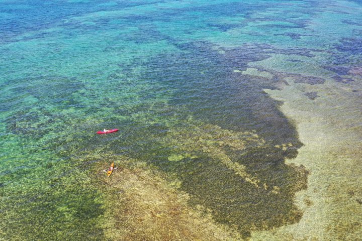 Bear Cut Sandbar