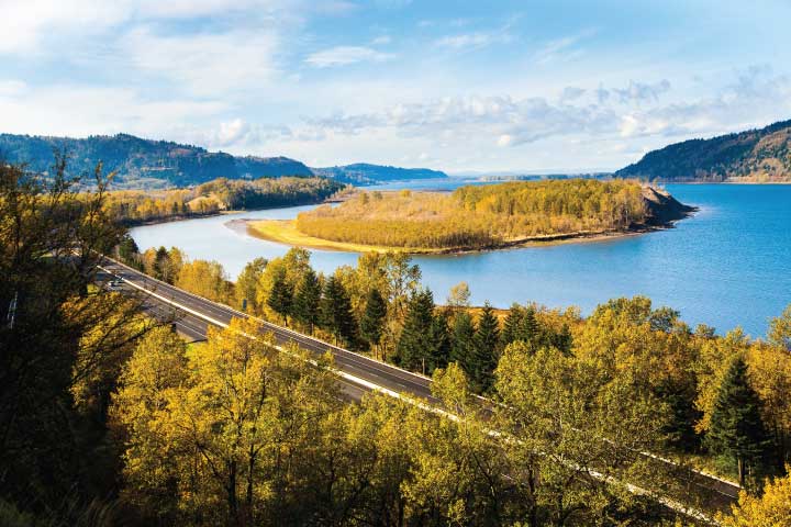 Oregon Fall Foliage, Columbia River Gorge.