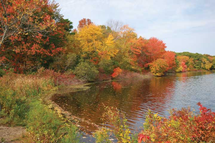 Rhode Island Fall Foliage.