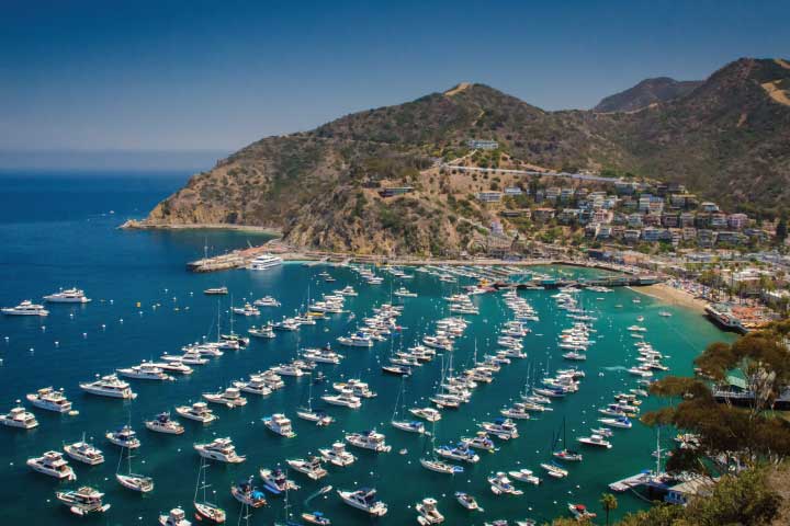 Santa Catalina Island.