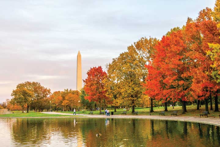 Washington, D.C. Fall Foliage.
