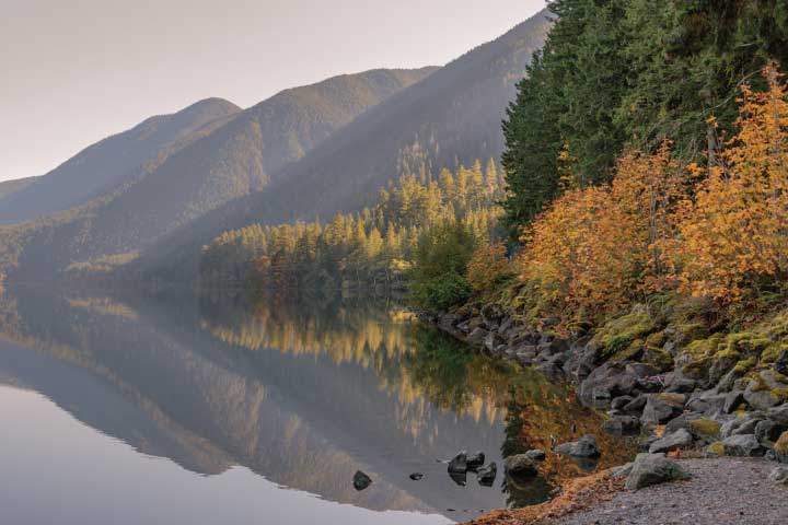 Washington Fall Foliage, Olympic National Park.