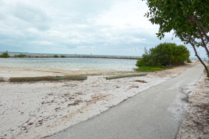 Harry Harris beach