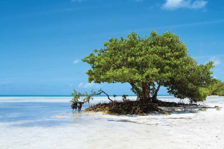 Anne's Beach, Islamorada.