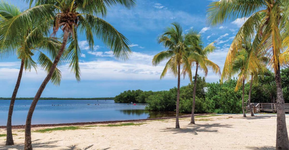 Beaches in Key Largo.