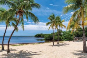 Beaches in Key Largo.
