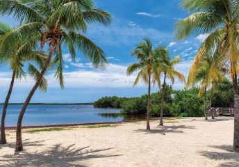 Beaches in Key Largo.