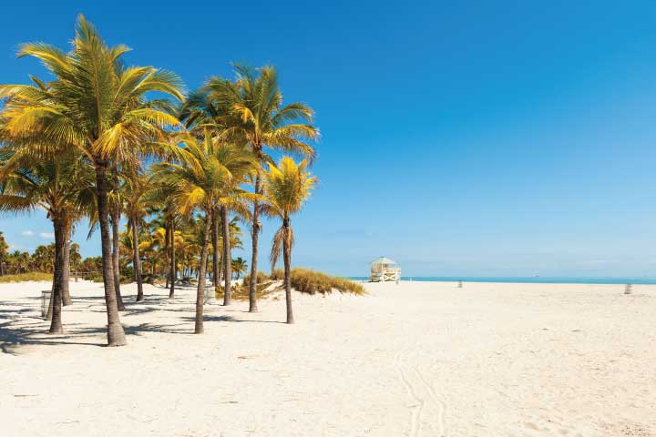 Crandon Park Beach, Miami.