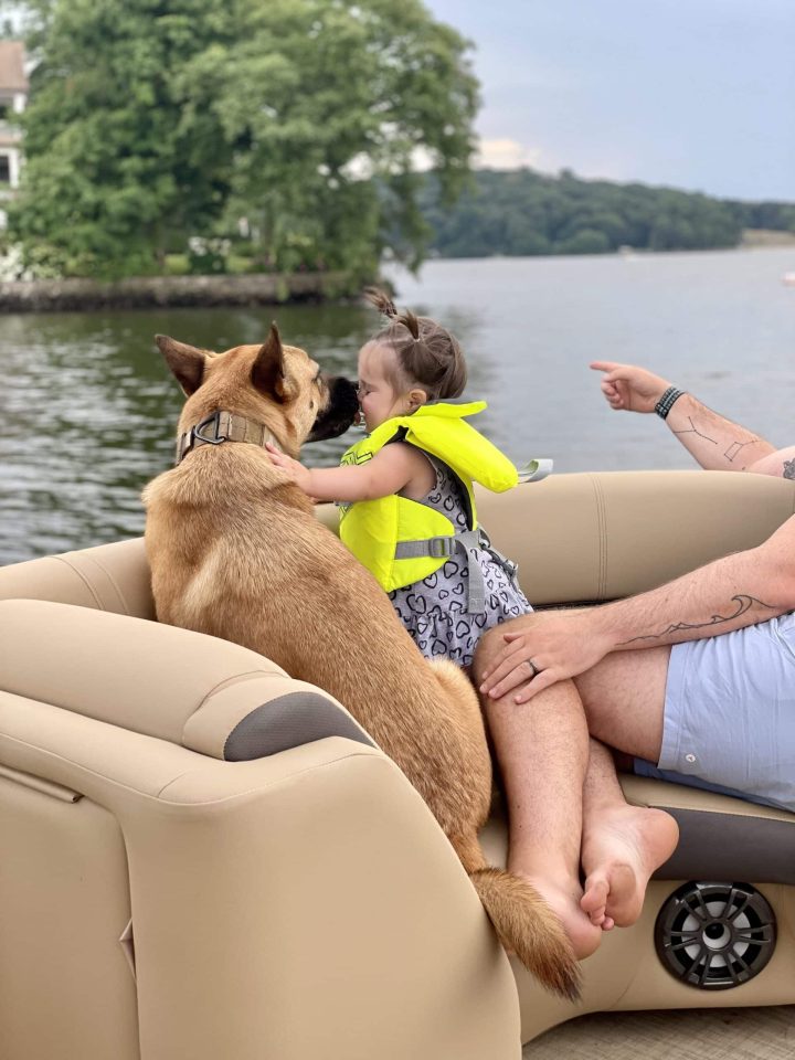 Dogs on a boat