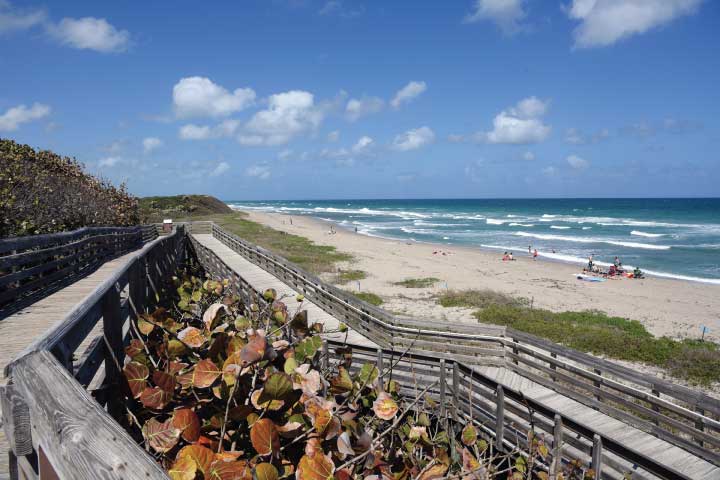 John D. MacArthur Beach State Park.