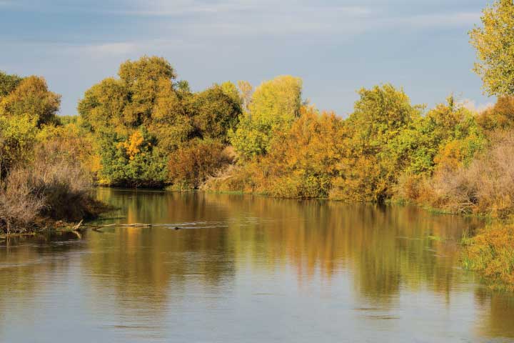 When to Fish in Sacramento.