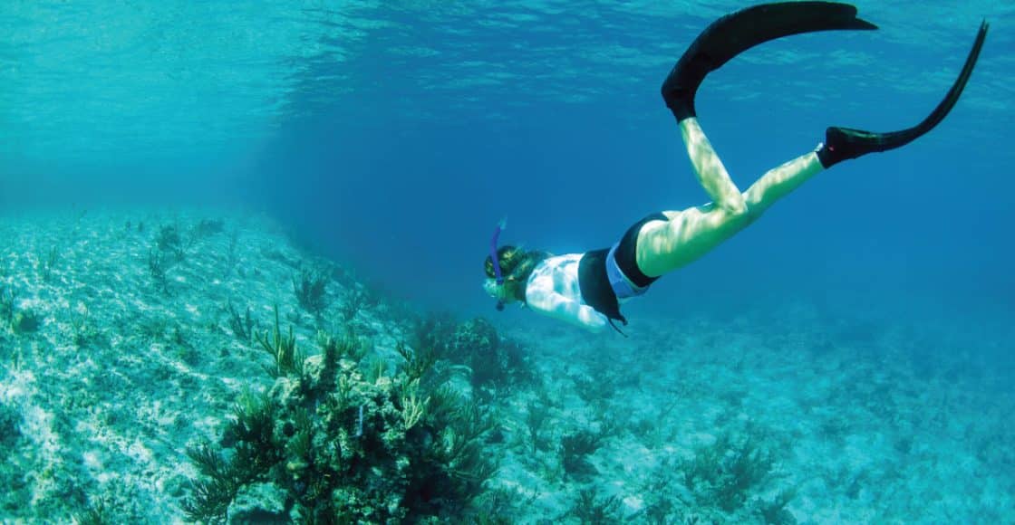 Islamorada Snorkeling Spots.