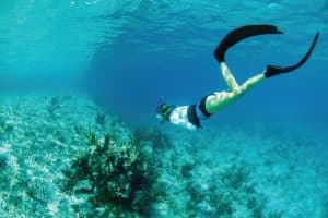 Islamorada Snorkeling Spots.
