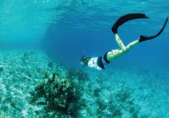 Islamorada Snorkeling Spots.