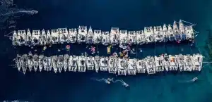 yacht week beginners guide