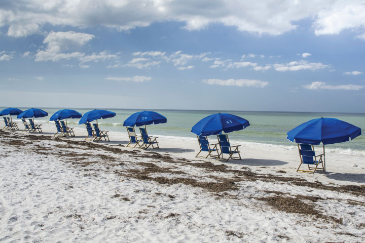 Caladesi Island Beach Chairs.