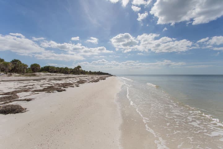 Caladesi Island Beach.