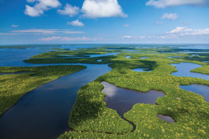 Everglades National Park.