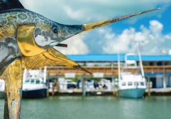 Fishing in Islamorada.