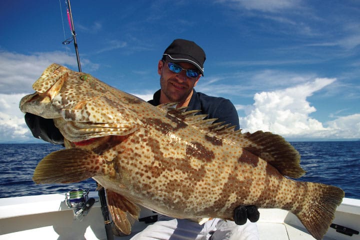 Grouper Deep Sea Fishing.