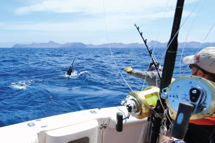 What is Deep Sea Fishing? Understanding the Basics