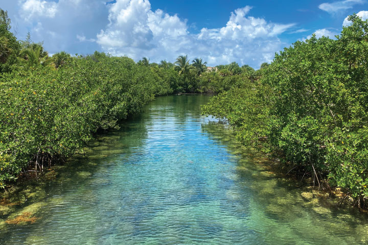 Peanut Island Watersports.