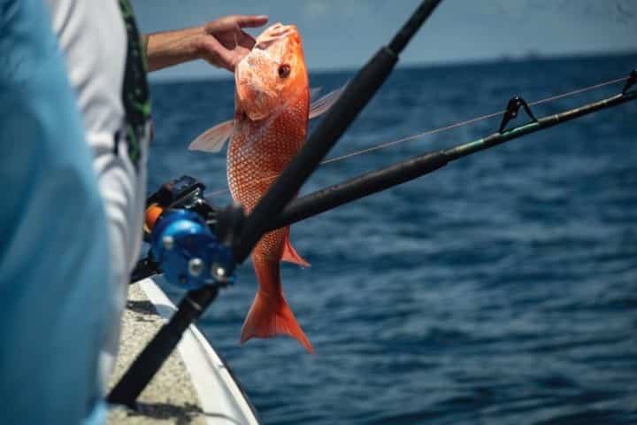 Red Snapper Fishing in Destin, Florida.