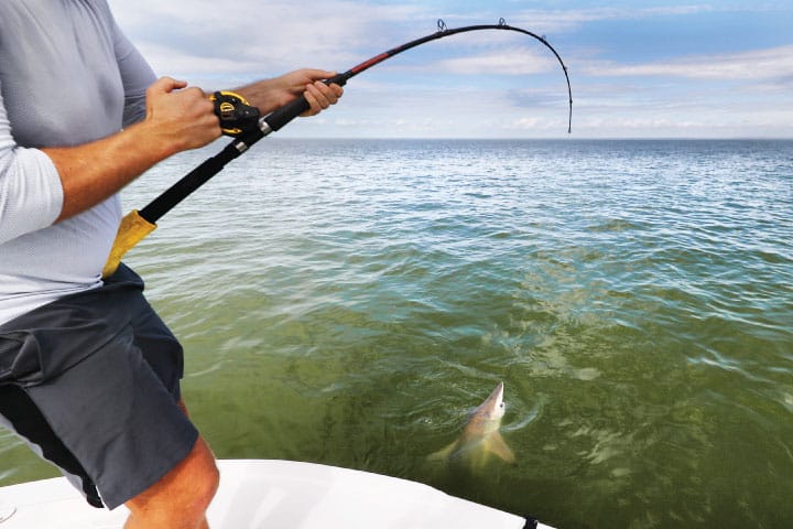 Shark Fishing in Islamorada.