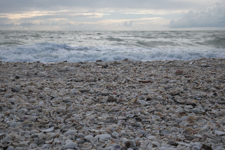 Barefoot Beach Preserve Park, Florida.