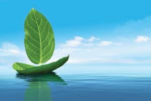 Eco-Conscious Boating.