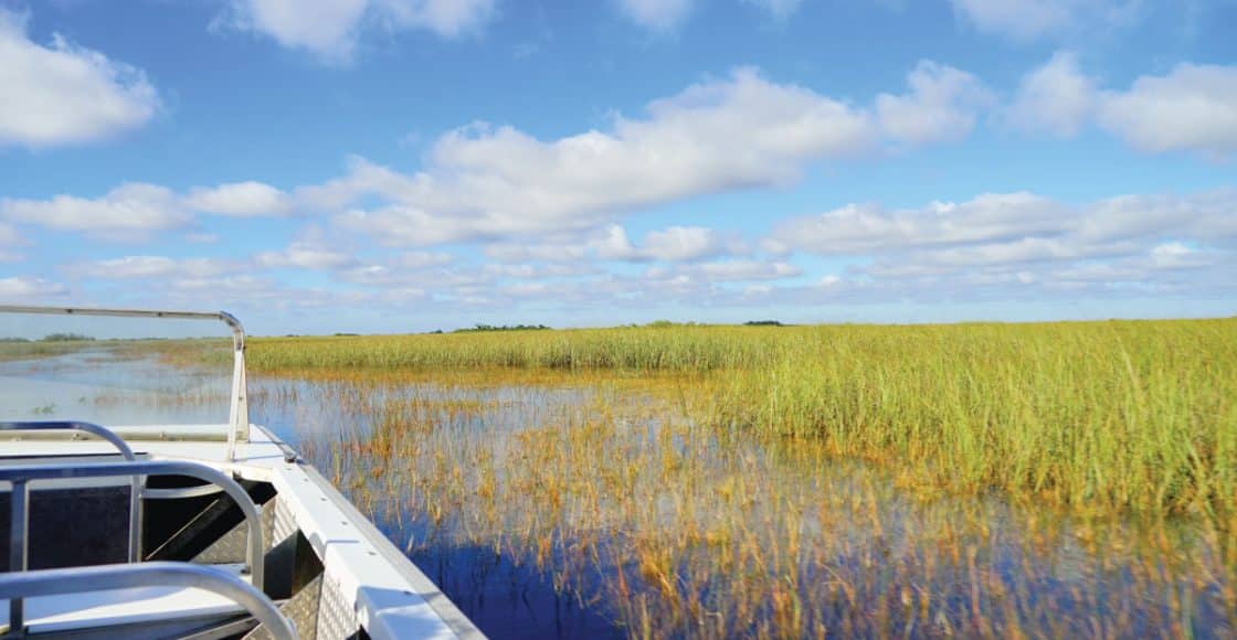 How to Navigate a Boat in Marine Protected Areas.