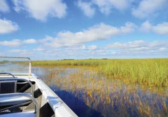 How to Navigate a Boat in Marine Protected Areas.