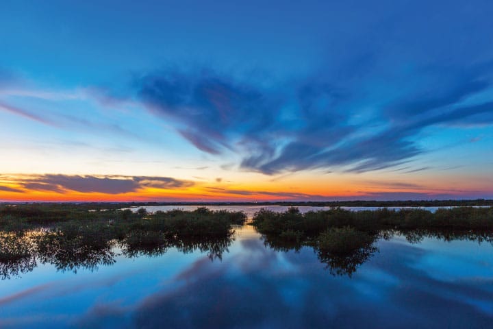 Merritt Island Wildlife Refuge, Florida.