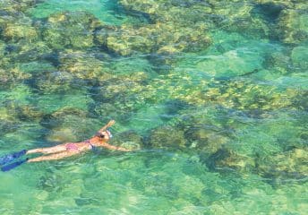 Snorkeling in O'ahu, Hawaii.