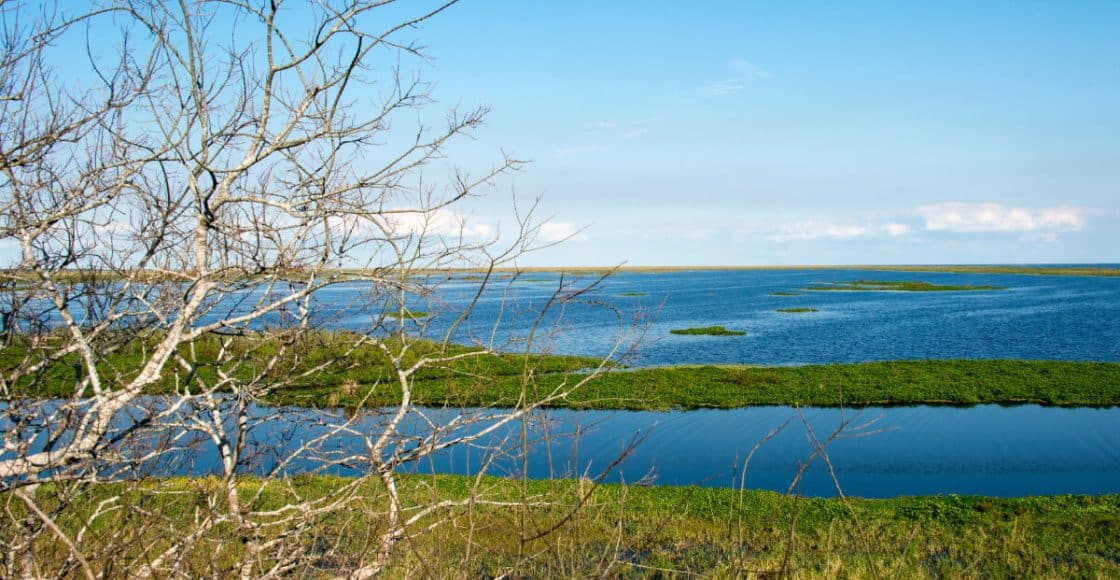 Lake Okeechobee Fishing Guide