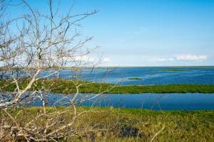 Lake Okeechobee Fishing Guide