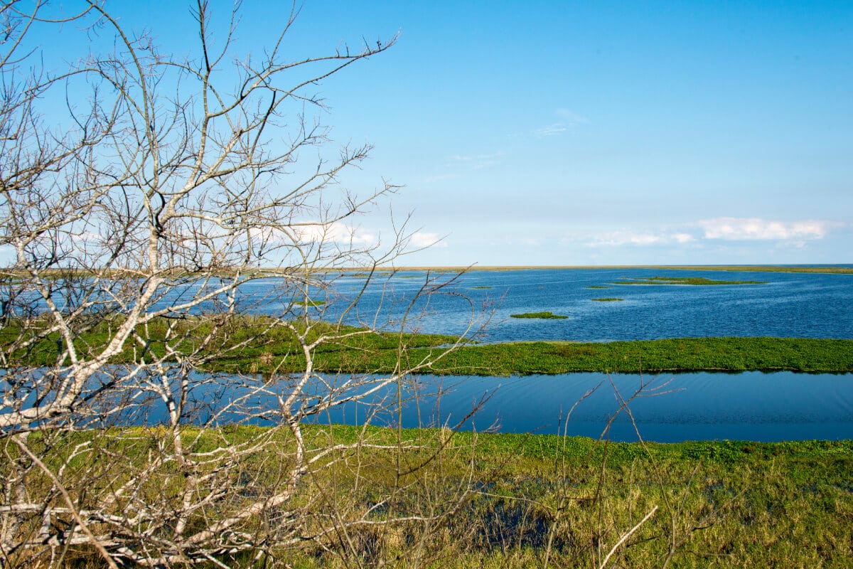 Lake Okeechobee Fishing Guide