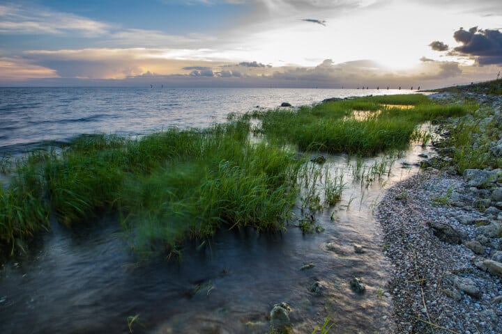 best time to fish lake okeechobee