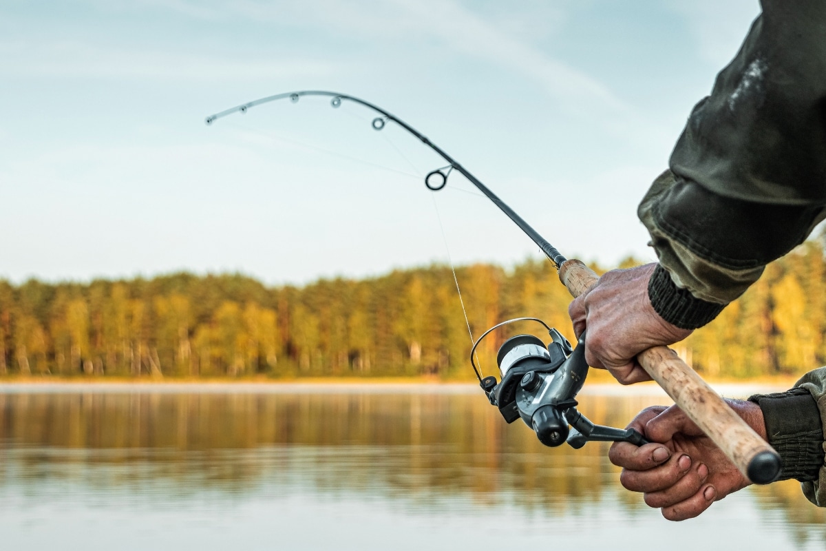 Lake Conroe (TX) Fishing Guide Locations, Species, and More