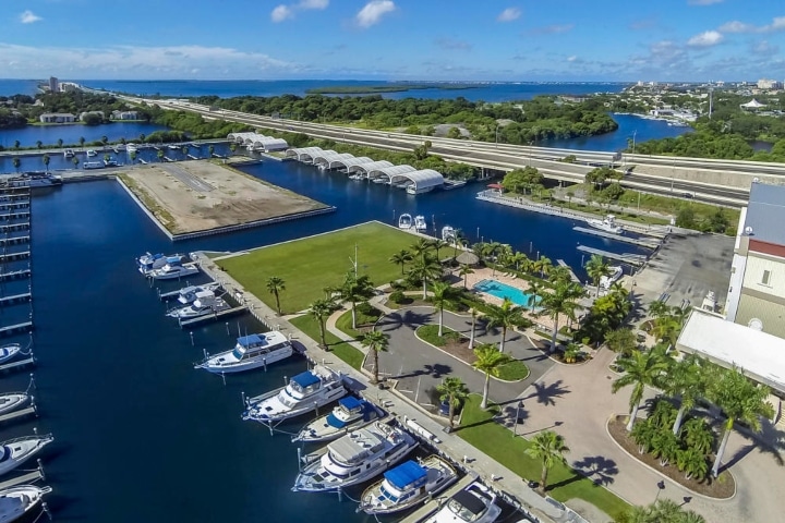 loggerhead marina st pete