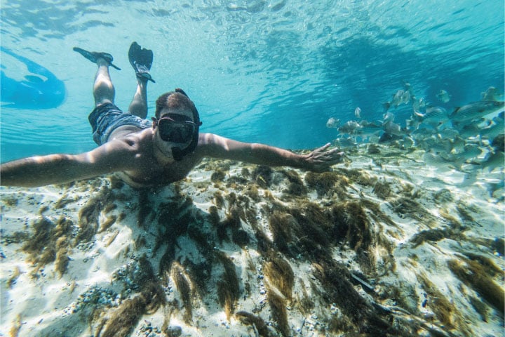 St. Pete Snorkeling.