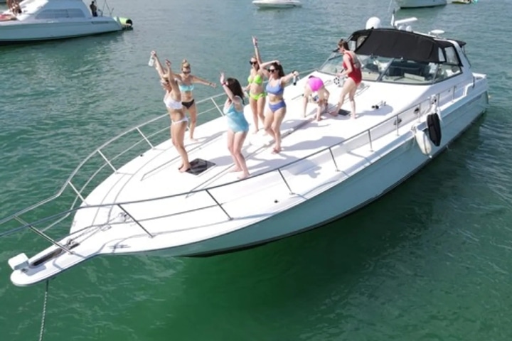 top owners- own the moment