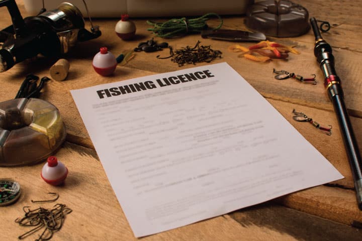 Fishing license.